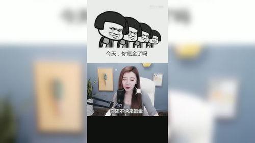 今日吃瓜娱乐直播视频回放,吃瓜娱乐大揭秘，笑料百出精彩瞬间大盘点